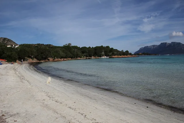 Spiaggia di Porto Istana, sabbia bianca e mare trasparente con il profilo di Tavolara sulla destra