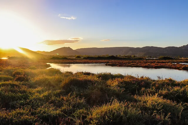 Luce calda del tramonto sullo stagno di San Teodoro tra canneti bassi e colline